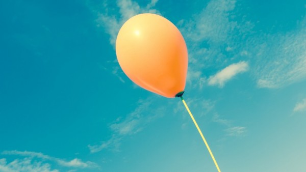 WISE Program image
